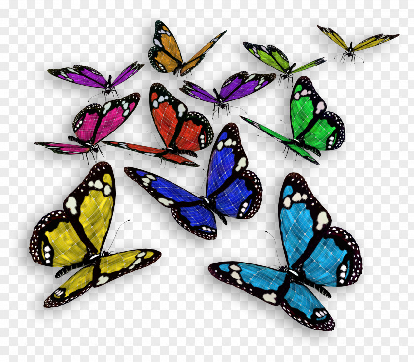 Vector,Flying Butterfly Color Cethosia Cyane PNG