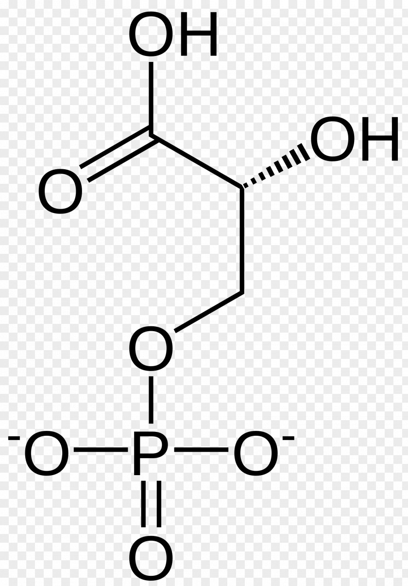 1,3-Bisphosphoglyceric Acid 3-Phosphoglyceric Glyceraldehyde 3-phosphate 2,3-Bisphosphoglyceric PNG