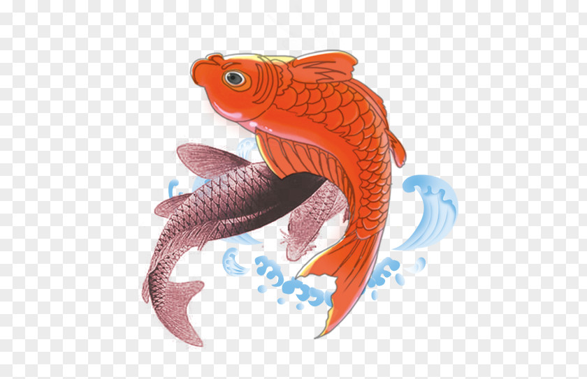 A Fish Leaping Over The Dragon Gate -- Have Passed Competitive Examination Koi Carp PNG