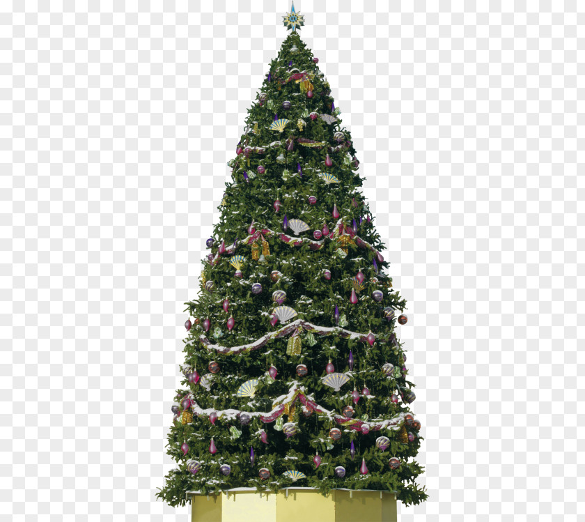 Christmas Tree Clip Art New Year Day PNG