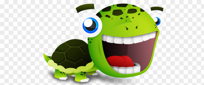 Turtle Cartoon PNG