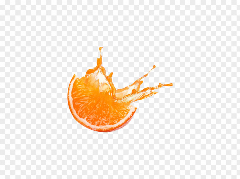 Beautiful Exquisite Fruit Juice Oranges Orange PNG