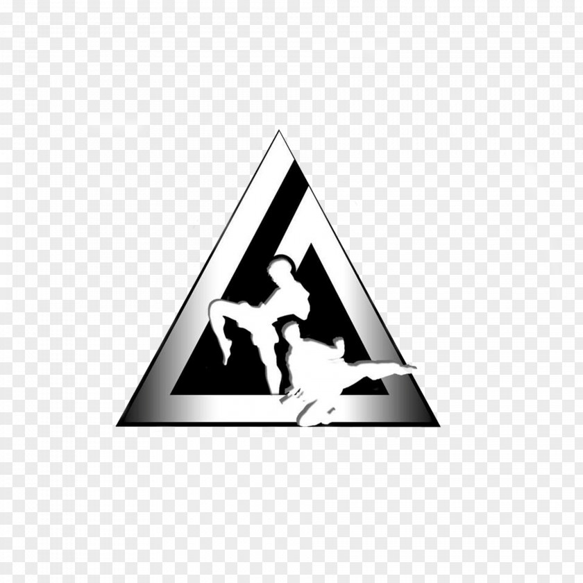 Martial Art Logo Triangle Brand PNG