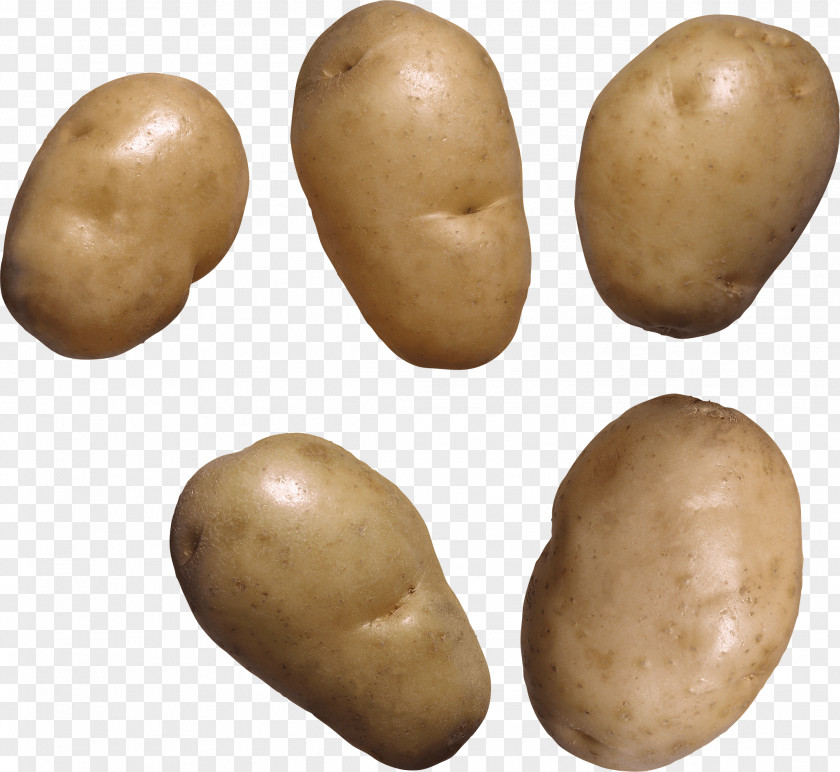 Potato Images Mashed Leftovers Baked PNG