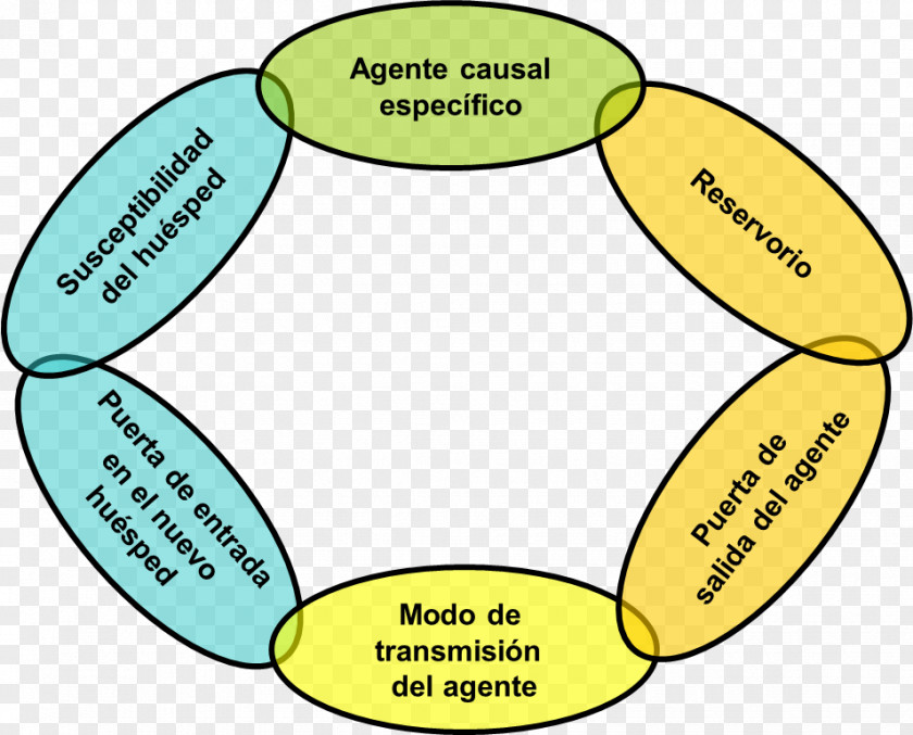 Salpicadura Infection Bioseguridad Hospitalaria Infectious Disease Biosecurity Organism PNG