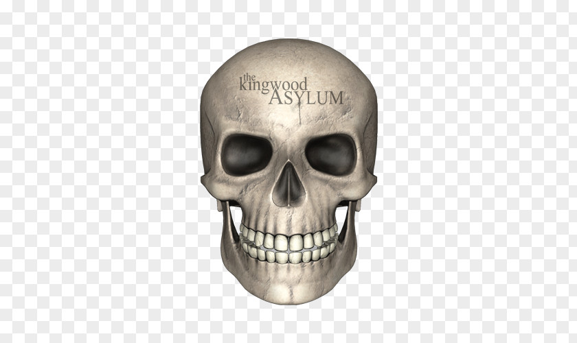 Skull Bone Human Skeleton PNG