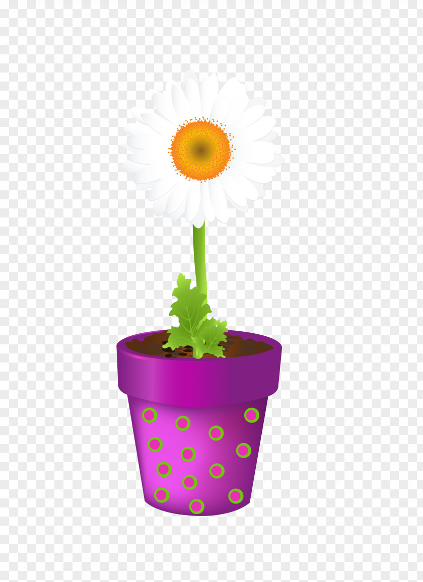 Sunflower Flowerpot Vase Clip Art PNG