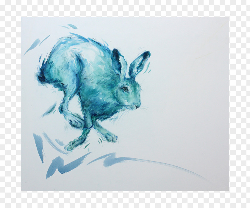 Blue Lightning Domestic Rabbit Hare Wildlife PNG