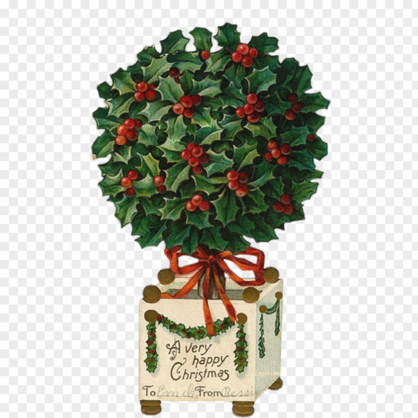 Christmas Tree Santa Claus Card Twelve Days Of Clip Art PNG