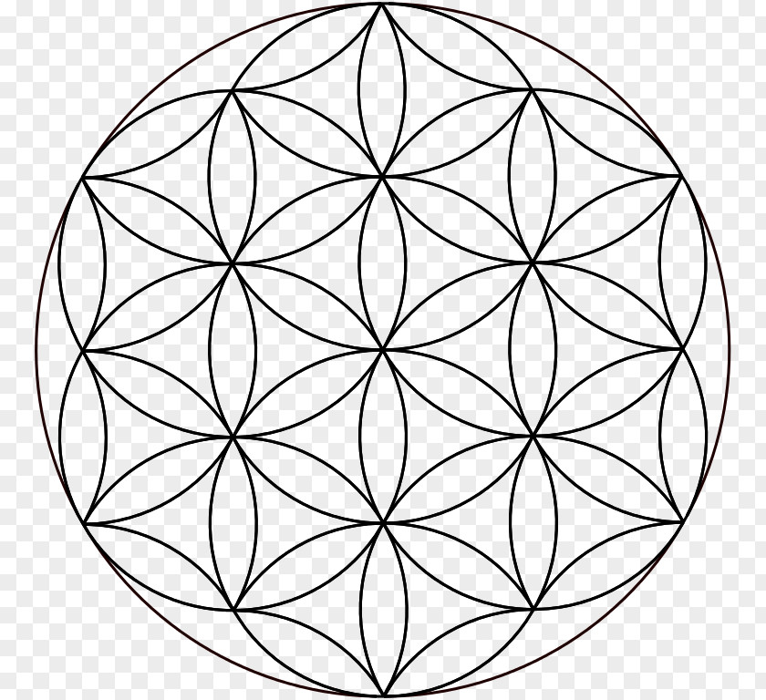 Circle Overlapping Circles Grid Sacred Geometry Drawing PNG