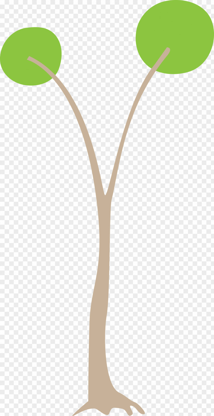 Leaf Plant Stem Branch Tree PNG