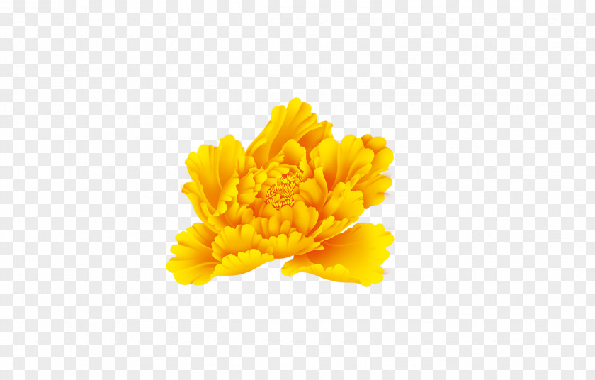 Peony Yellow Moutan Flower PNG