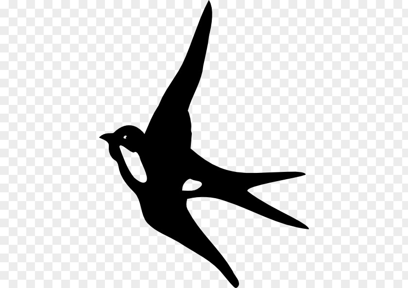 Swallow Cliparts Clip Art PNG