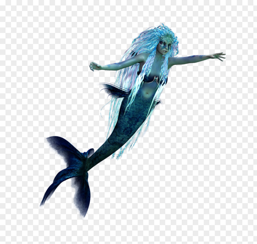 Acco Mermaid Art Feather Finfolk PNG