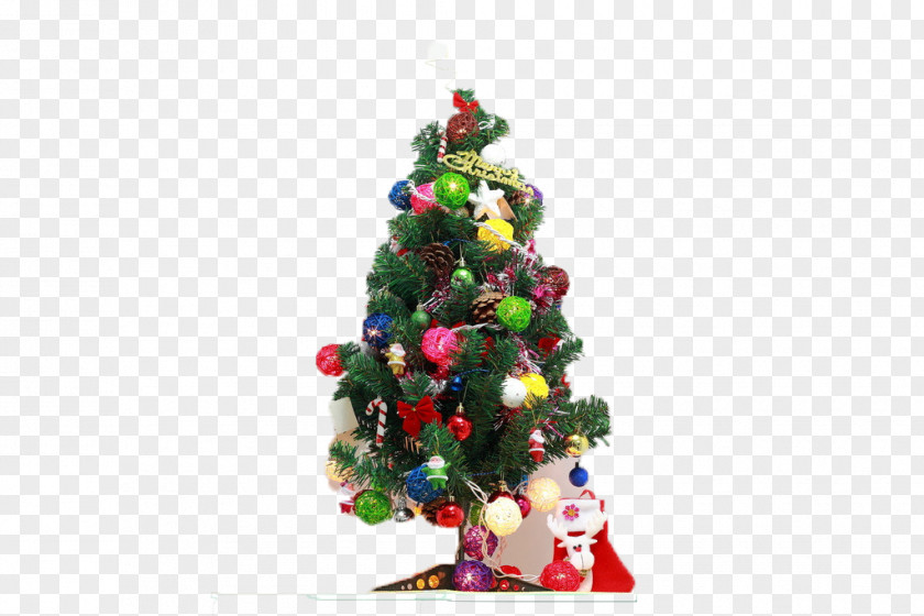 Christmas Tree Festival Ornament PNG