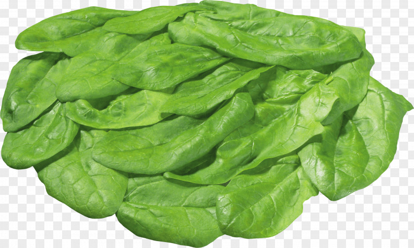 Green Salad Image Lettuce Sandwich Nicoise Vegetable PNG