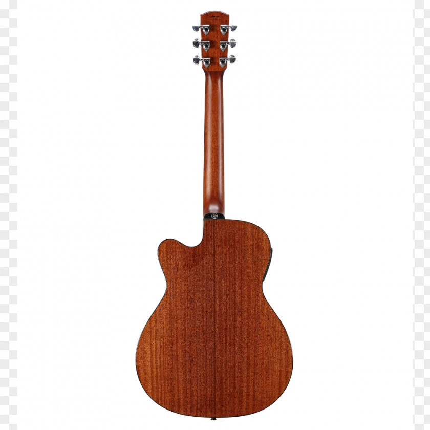 Guitar Steel-string Acoustic Cutaway Bass PNG
