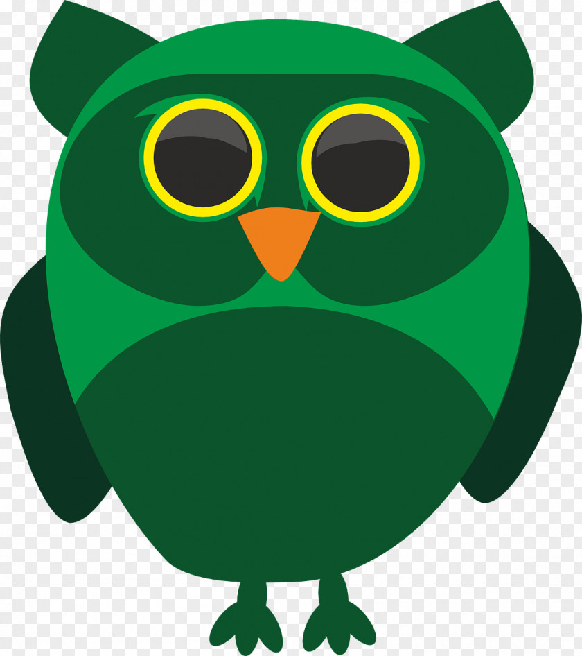 Jungle Owl Snowy Bird Beak Image PNG