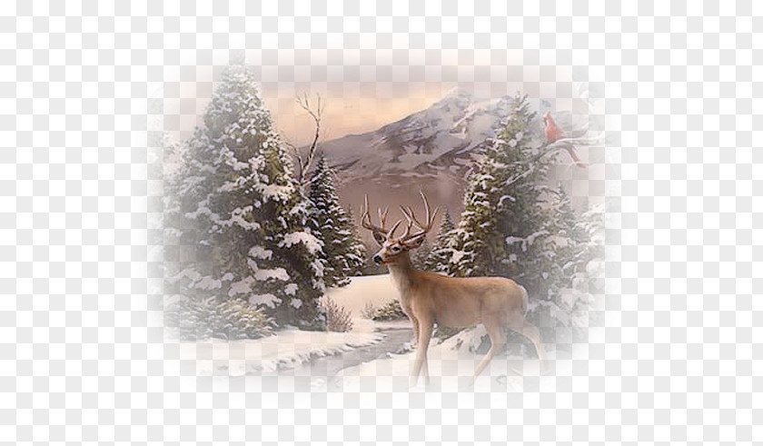 Painting Christmas Day Greeting & Note Cards Image GIF PNG