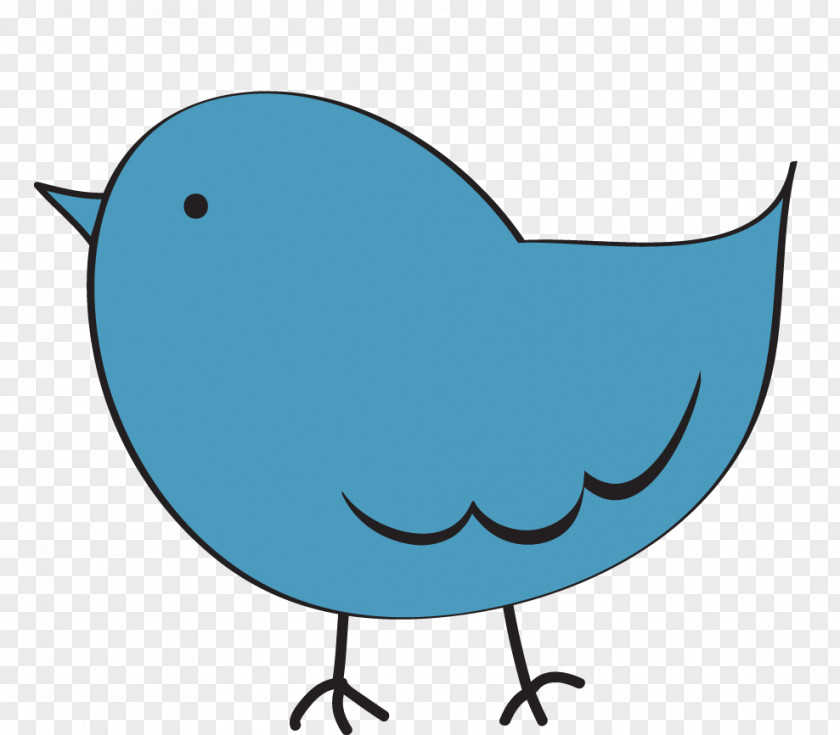 Cute Bird Clipart Clip Art PNG