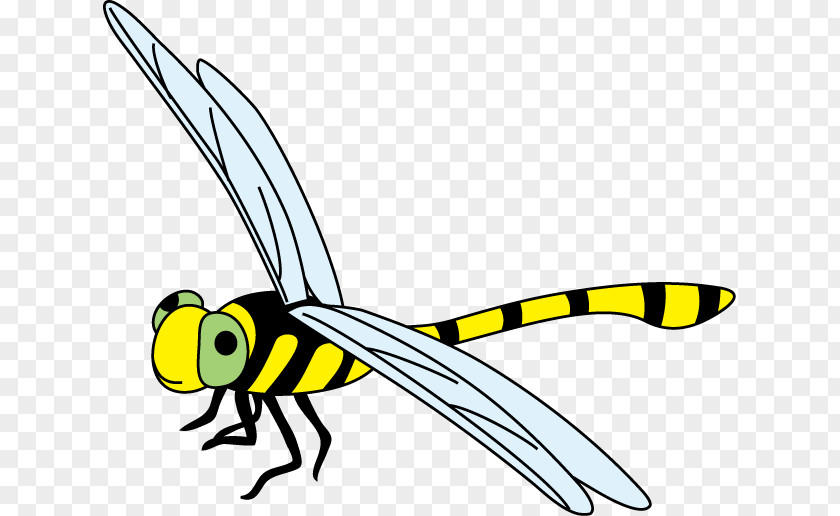 Insect Dragonfly Clip Art PNG