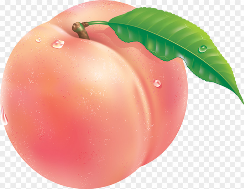 Peach Tomato Auglis Fruit PNG