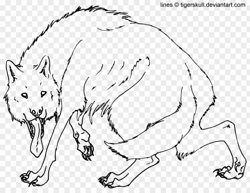 Wolf Skull Whiskers Red Fox Dog Drawing Hare PNG