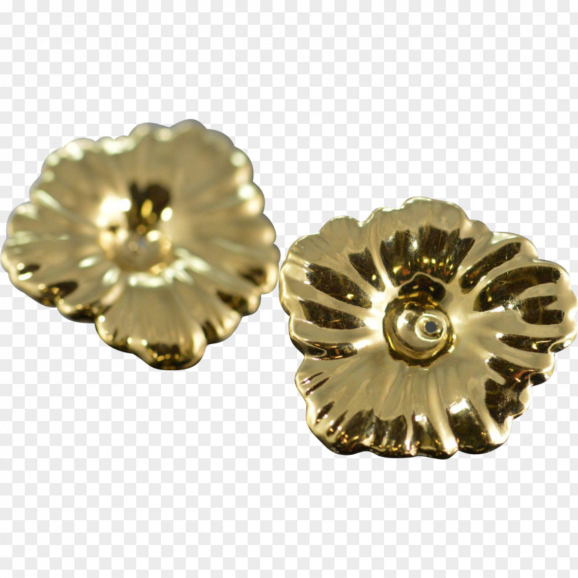Brass Earring 01504 Body Jewellery Material PNG