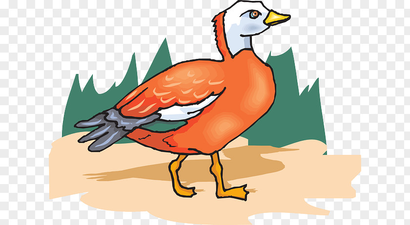 Duck Goose Bird Clip Art PNG