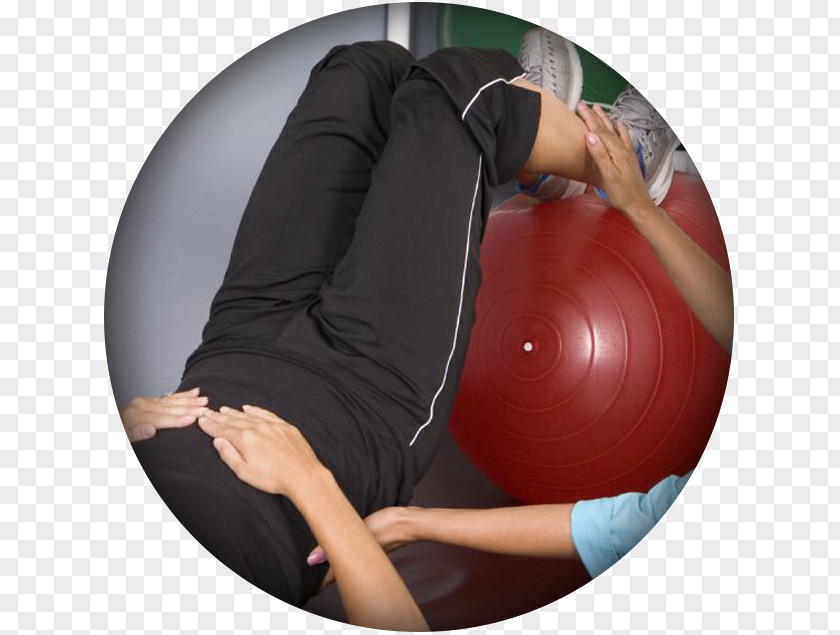 Occupational Physicians Medicine Balls Pilates Exercise Physical Therapy PNG