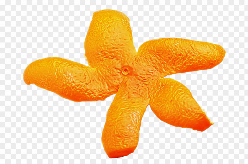 Orange PNG