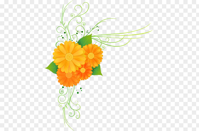 Flower Floral Design Cut Flowers PNG