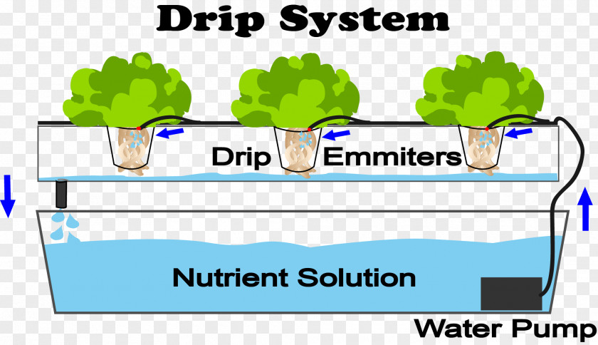 Hydroponics Drip Irrigation Aquaponics Nutrient Agriculture PNG
