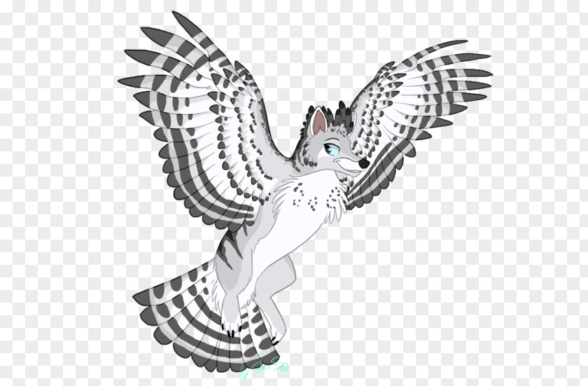 Owl Clip Art Fauna Illustration Beak PNG