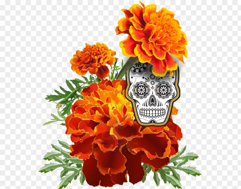 Perennial Plant Pink Family Day Of The Dead Skull PNG