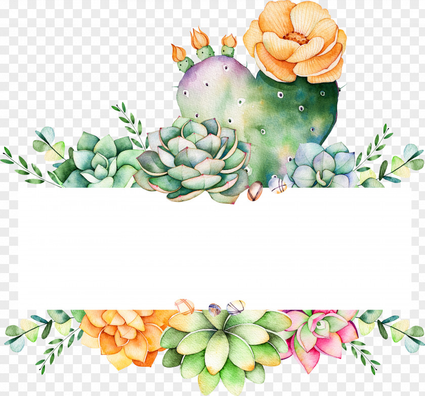 Stonecrop Family Petal Watercolor Flower Background PNG
