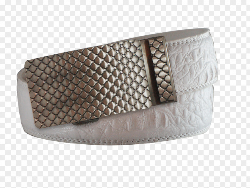 Belt Buckles Common Ostrich Light PNG