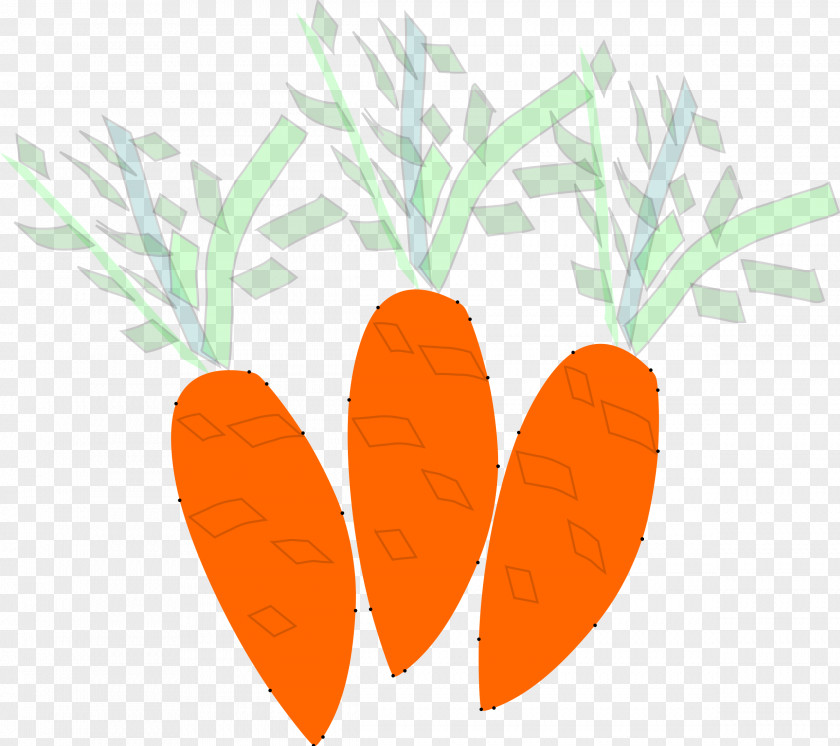 Carrot Food Vegetable PNG