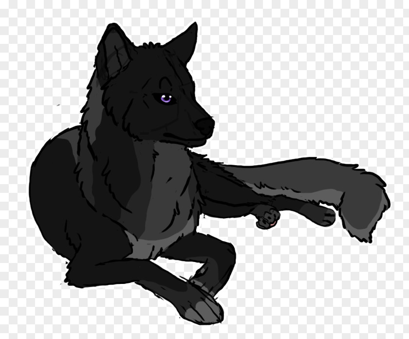 Cat Resting Cliparts Schipperke Dog Breed Snout Fur PNG