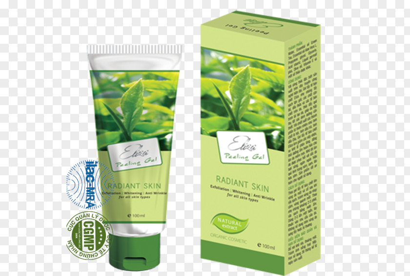 Exfoliation Sunscreen Cleanser Skin Cosmetics PNG