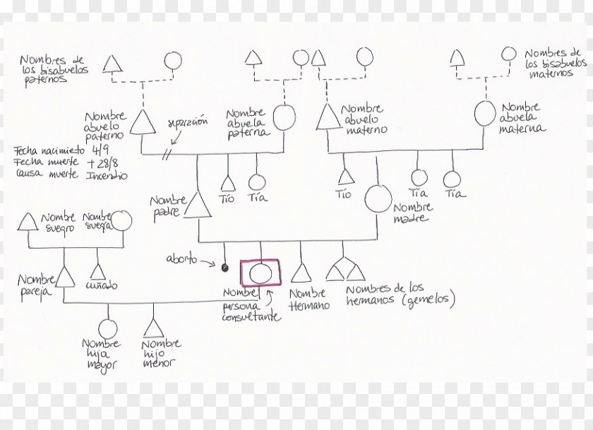 Family Tree Genealogy Genogram Constellations PNG