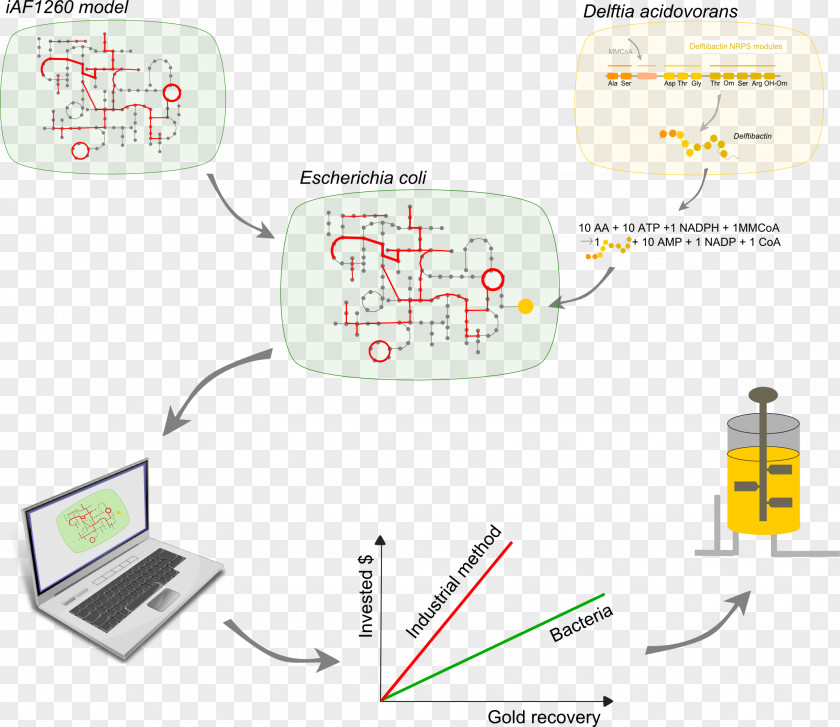 Gold International Genetically Engineered Machine Extraction Bioleaching E. Coli PNG