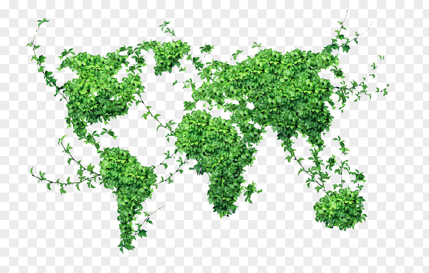Organic World Map PNG