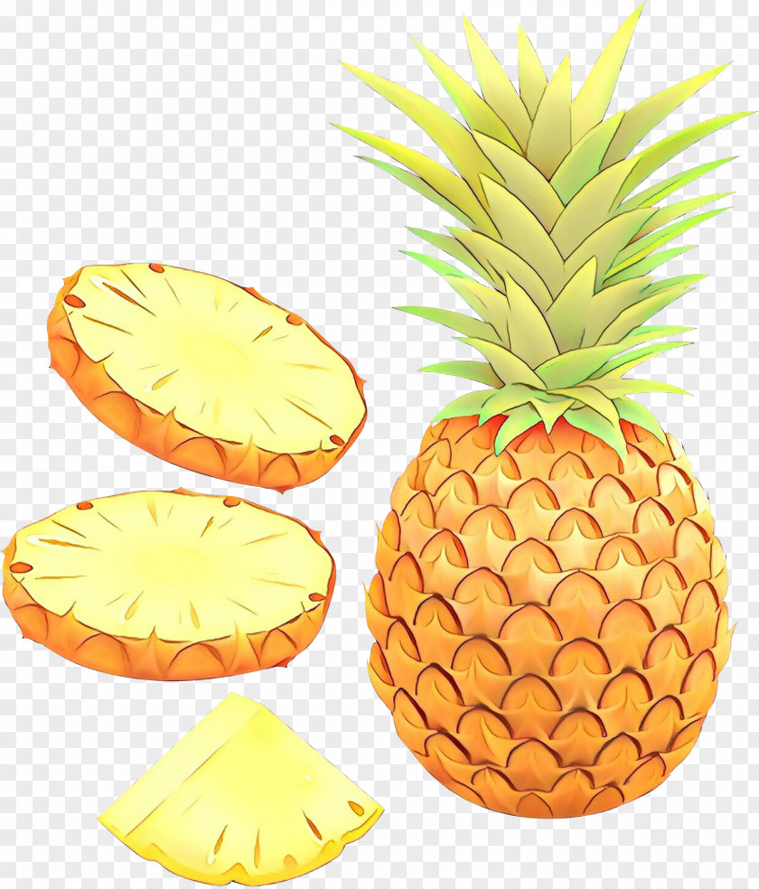 Poales Orange Pineapple PNG