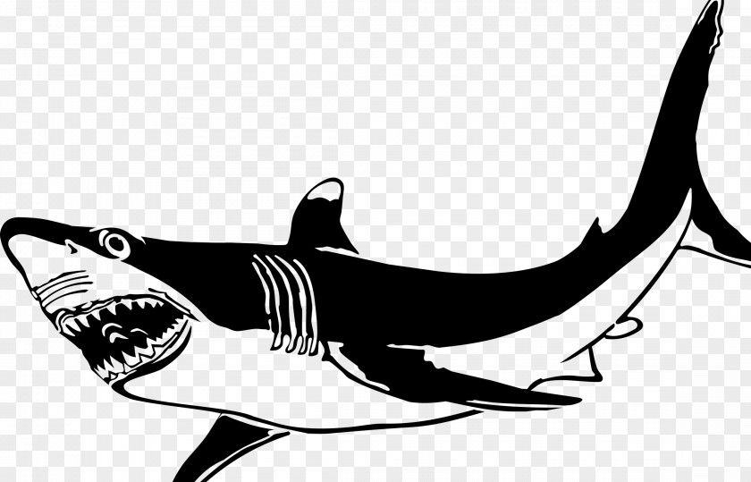 Shark Cartoon Fin Soup Printed T-shirt Spreadshirt PNG