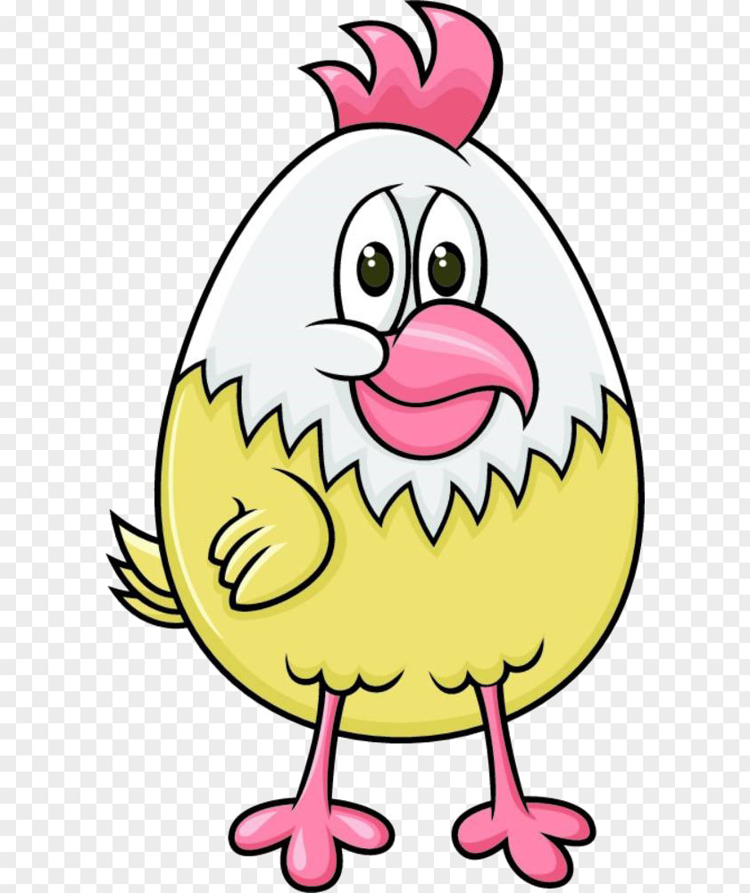 Cartoon Chicks Chicken Meat Photography Illustration PNG
