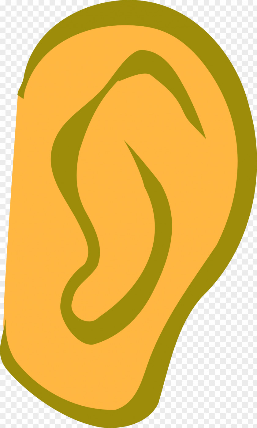 Conch Ear Cartoon Drawing Clip Art PNG