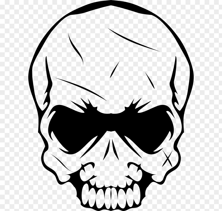 Illustration Skull Bone PNG