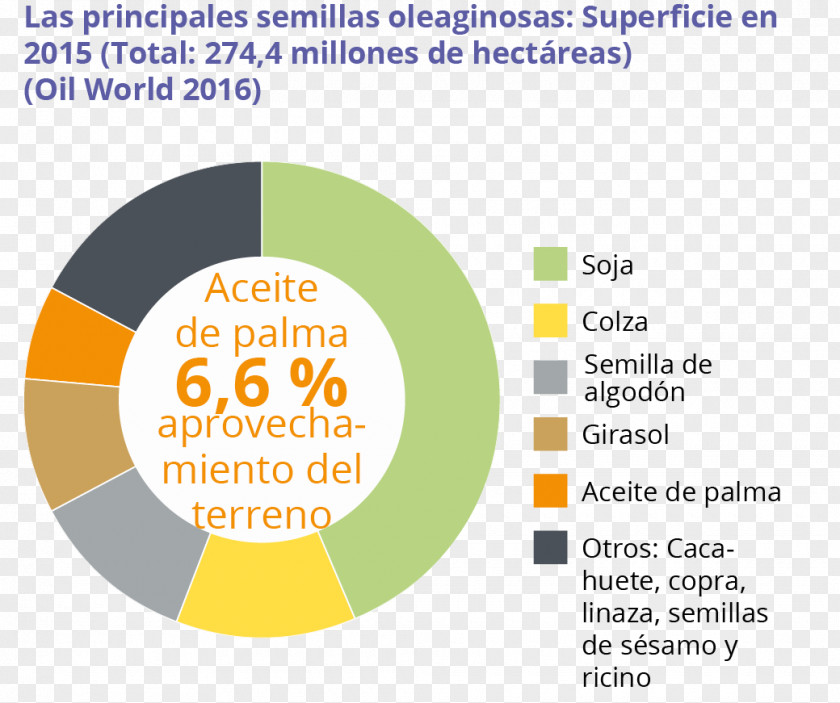 Oil Palm Huile Alimentaire Peanut African PNG