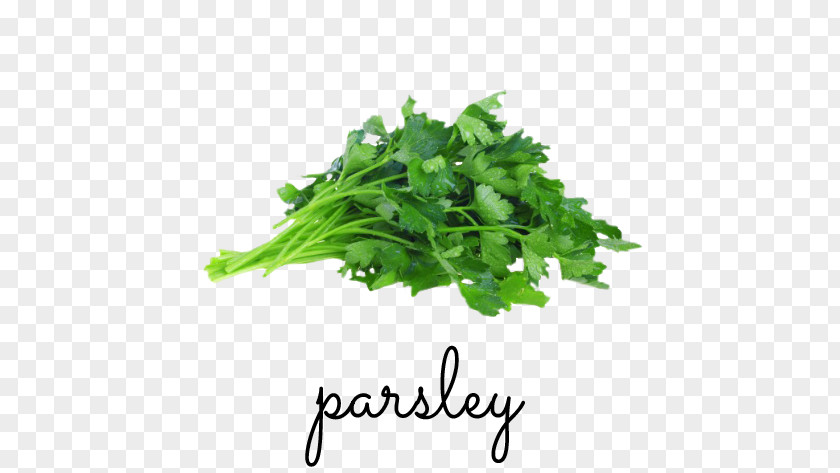 Parsley Greek Cuisine Herb Chicken Soup Celeriac PNG